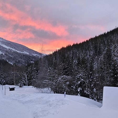 Bouda Bile Labe Hotel Špindlerŭv Mlýn Ngoại thất bức ảnh